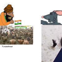 17472124261050.mp4
