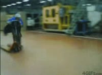 VID20250529130216683.mp4