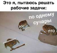 IMG20250523120148468.jpg