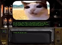 17114418533450.mp4