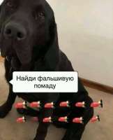 16355261138143.jpg