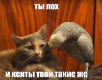 IMG0165.jpeg