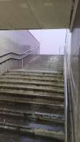 IMG-20250531-WA0005.jpeg