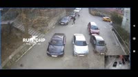киданул псину в машину.mp4