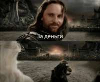 IMG1981.jpeg