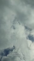 1627934833773.mp4
