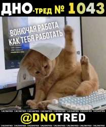 Дно-тред №1043.png