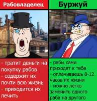 1750229141109.jpg