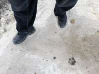 moonwalk.jpg
