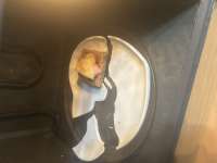 IMG5718.jpeg