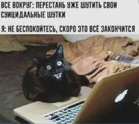 17511491599053.jpeg