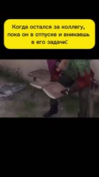 Вникаешь.mp4