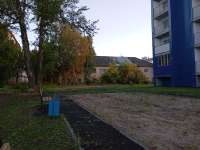 IMG20250725212408.jpg
