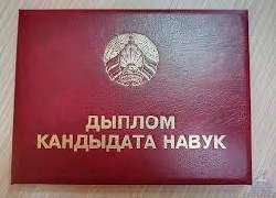 изображение2025-07-23193613385.png