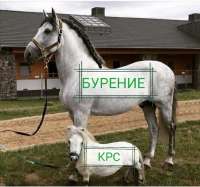 изображение2025-08-04080139888.png