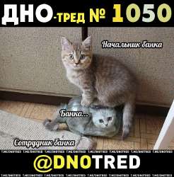 Дно-тред №1050.png