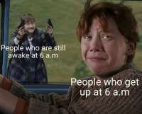 1755077396449595.jpg