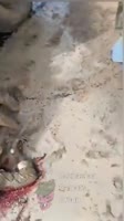 video2025-08-2720-58-02.mp4