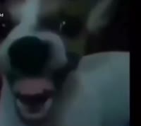 document5366439186834402476.mp4