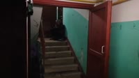 15795198994851.mp4
