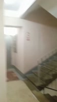 video2025-08-1216-53-00.mp4