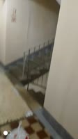 video2025-08-1216-52-18.mp4