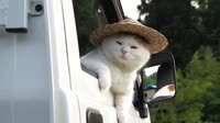 1000012232.webm