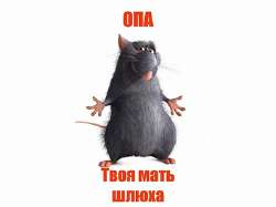 IMG9524.jpeg