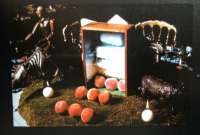 IMG0884-487x330.jpg