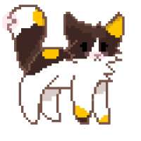 catverycute.gif