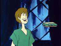 shaggy.jpg