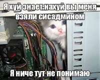 Приколы-для-даунов-котэ-системный-блок-8456351.jpeg