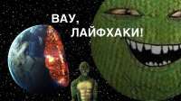 4354334645.jpg