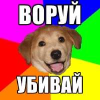 воруй убивай.jpg