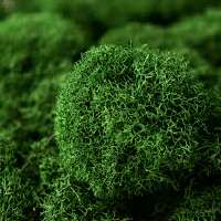 images-1.jpg