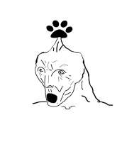 16635288381640.png