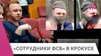 hq720.jpg