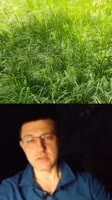 17434465955290.mp4