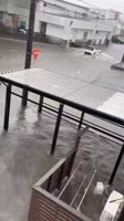 video2025-09-0504-00-53.mp4