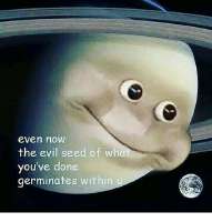 17491847030522.jpg