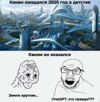 17541658487782.jpg