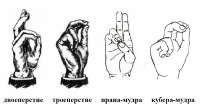 sto-25-foto-12.jpg