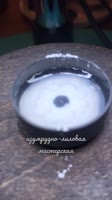 8916392544851.mp4