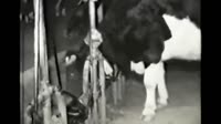 videoplayback-seg3.mp4