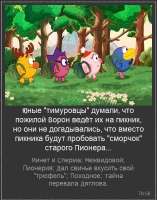 1748435018.jpg