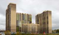 13165-novoe-murino.png