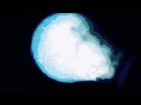 darknet.mp4
