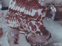 InShot20250603151222797.mp4