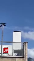 знамение.mp4