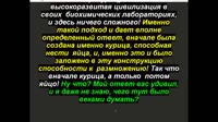 Творца и абсолюта не существует! Но кто создал творца! -00.09.27.450-00.13.40.633-00.00.32.852-00.02.35.852.mp4